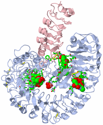 Image Biol. Unit 1 - sites