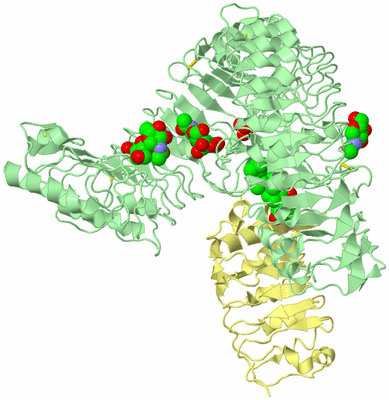 Image Biological Unit 2