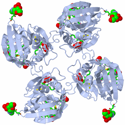 Image Biol. Unit 1 - sites