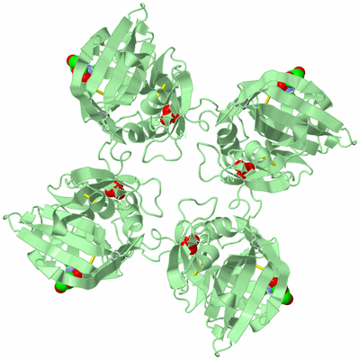 Image Biological Unit 2