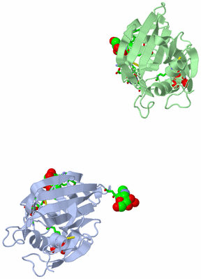 Image Asym. Unit - sites