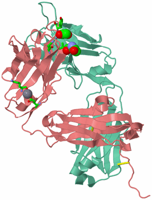 Image Asym./Biol. Unit - sites