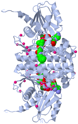 Image Biological Unit 1