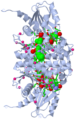 Image Biol. Unit 1 - sites