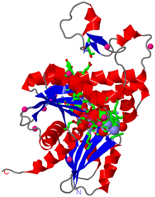 Image Asym. Unit - sites