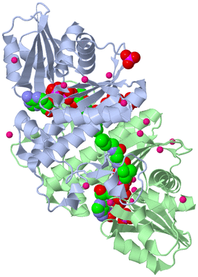 Image Asym./Biol. Unit