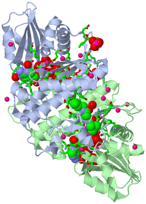 Image Asym./Biol. Unit - sites