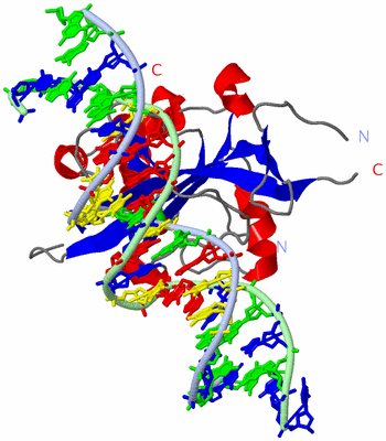 Image Asym./Biol. Unit