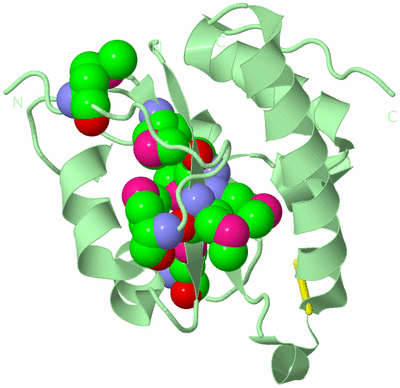 Image Biological Unit 2