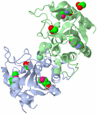 Image Biological Unit 3