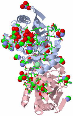 Image Biol. Unit 1 - sites