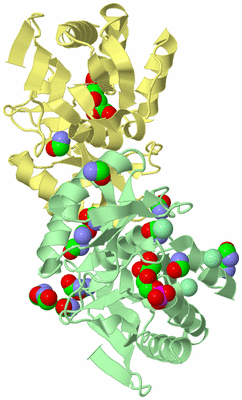 Image Biological Unit 2