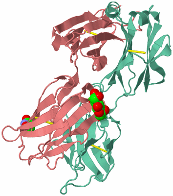 Image Biol. Unit 1 - sites