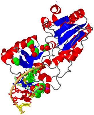 Image Asym./Biol. Unit