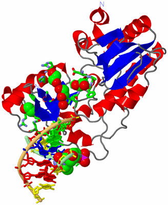 Image Asym./Biol. Unit - sites