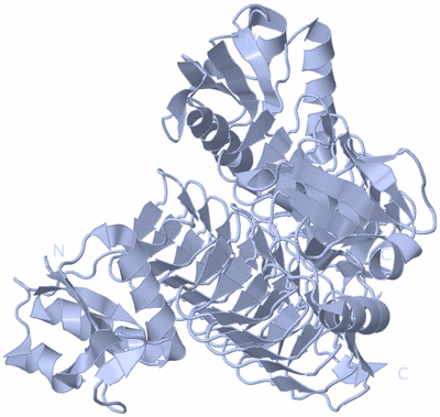 Image Biological Unit 1