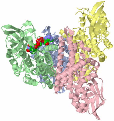 Image Asym./Biol. Unit