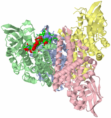 Image Asym./Biol. Unit - sites