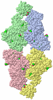 Image Asym./Biol. Unit