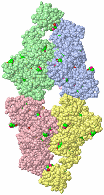 Image Asym./Biol. Unit - sites