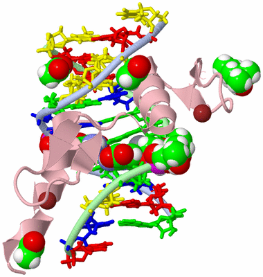 Image Biological Unit 1