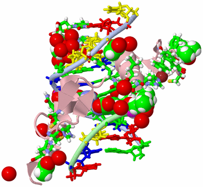 Image Biol. Unit 1 - sites