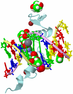 Image Biological Unit 2