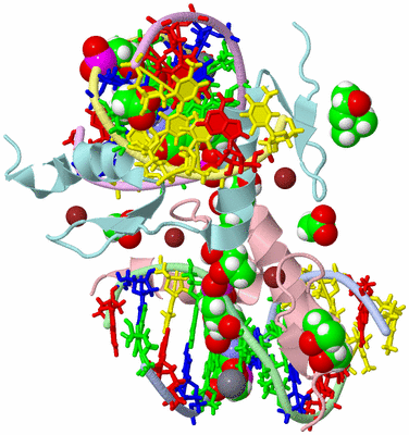 Image Biological Unit 3