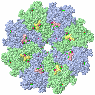 Image Biol. Unit 1 - sites