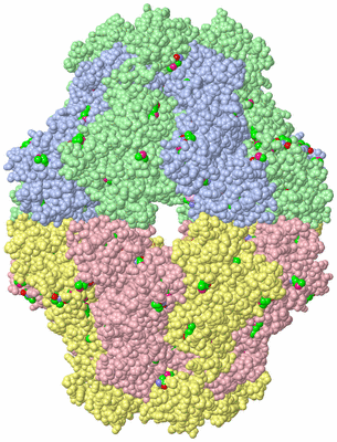 Image Biological Unit 1