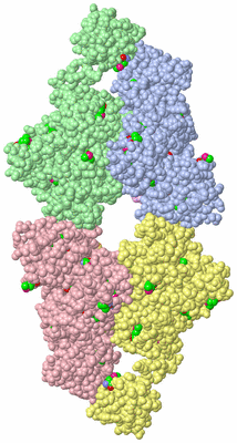 Image Asym. Unit - sites