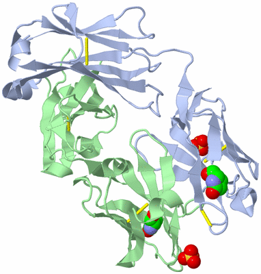 Image Biological Unit 2