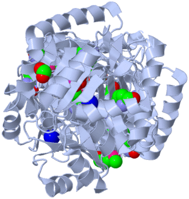 Image Biological Unit 1