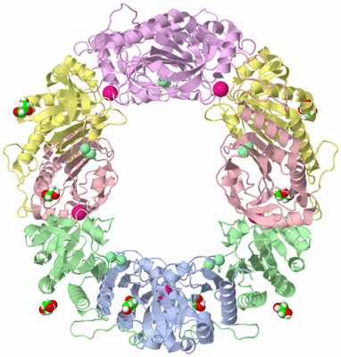 Image Biological Unit 1