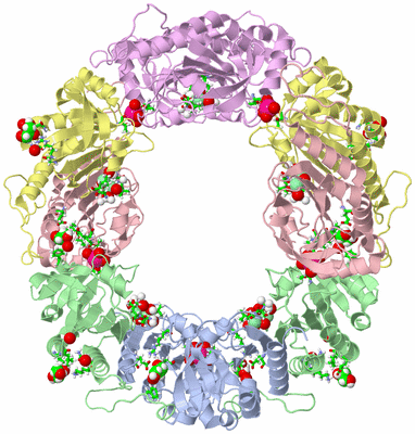 Image Biol. Unit 1 - sites