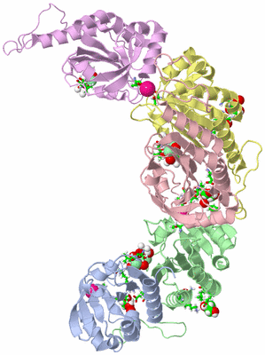 Image Asym. Unit - sites