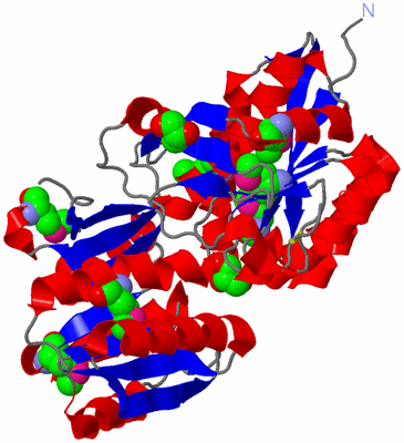 Image Asym./Biol. Unit