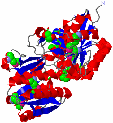 Image Asym./Biol. Unit - sites