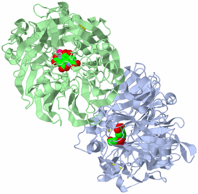 Image Asym./Biol. Unit