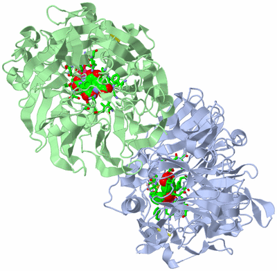 Image Asym./Biol. Unit - sites