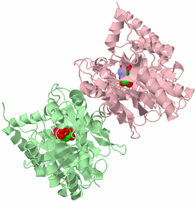 Image Biological Unit 2