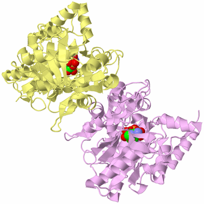 Image Biological Unit 3