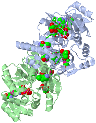 Image Asym./Biol. Unit - sites