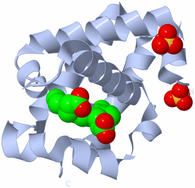 Image Biological Unit 1