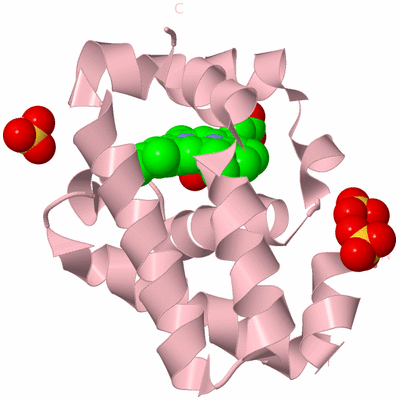 Image Biological Unit 3