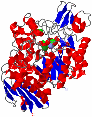 Image Asym./Biol. Unit