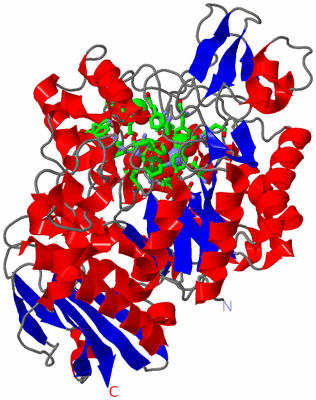 Image Asym./Biol. Unit - sites