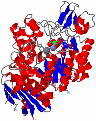 Image Asym./Biol. Unit