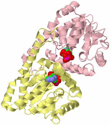 Image Biological Unit 2