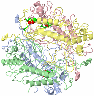 Image Asym./Biol. Unit - sites